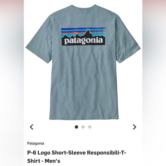 Patagonia Other - Patagonia Men's P-6 Logo Responsibili-Tee
